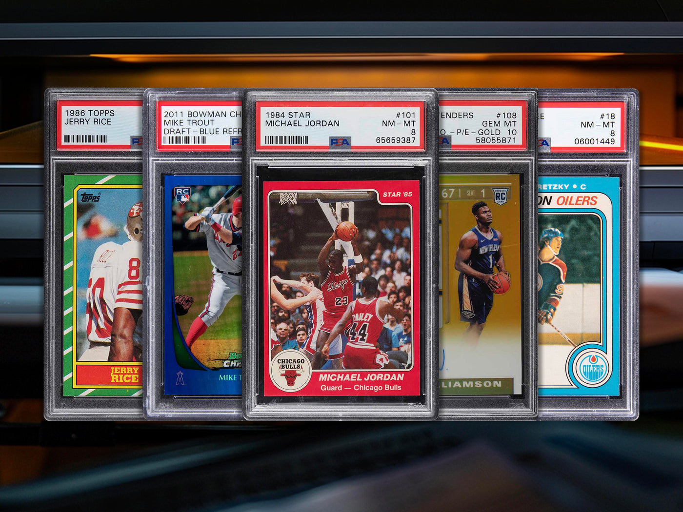 case for PSA graded cards